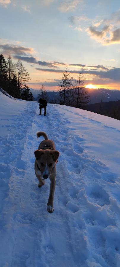 Familien-Garten-Suite Kanzelhoehe Gerlitzen - Gerlitzenurlaub At Kanzelhohe Bagian luar foto